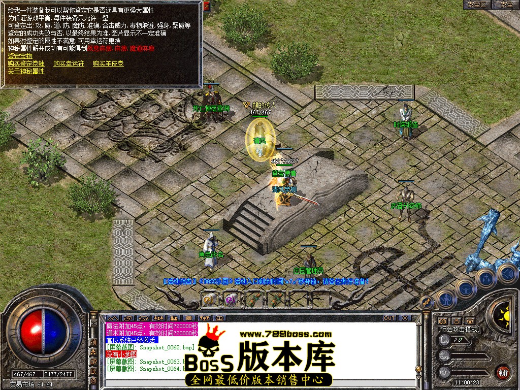 Snapshot_0065.jpg