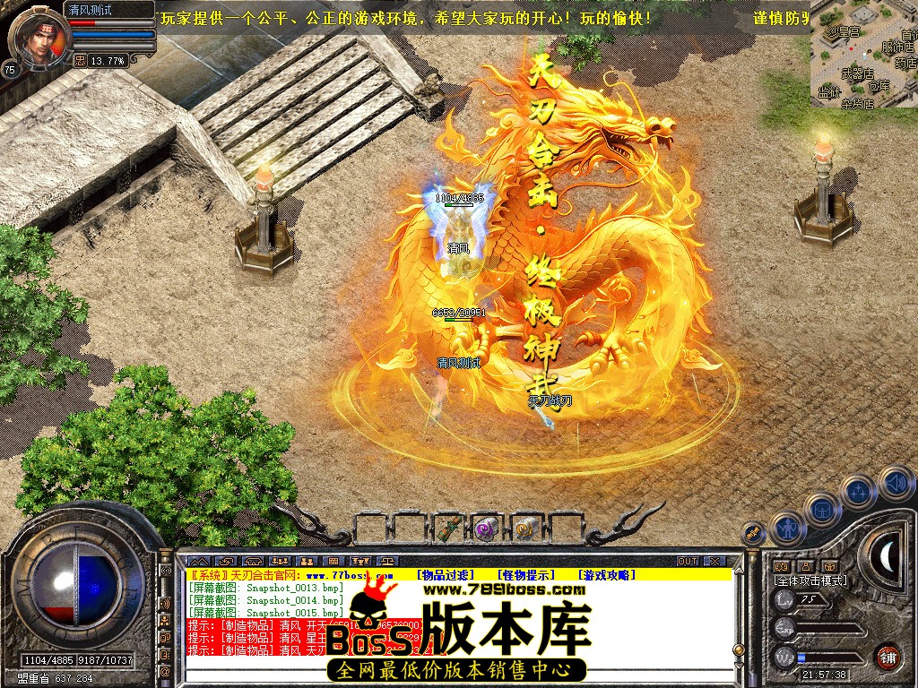 Snapshot_0016.jpg