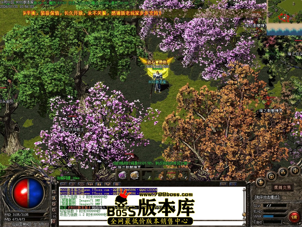 Images73压缩后.JPG