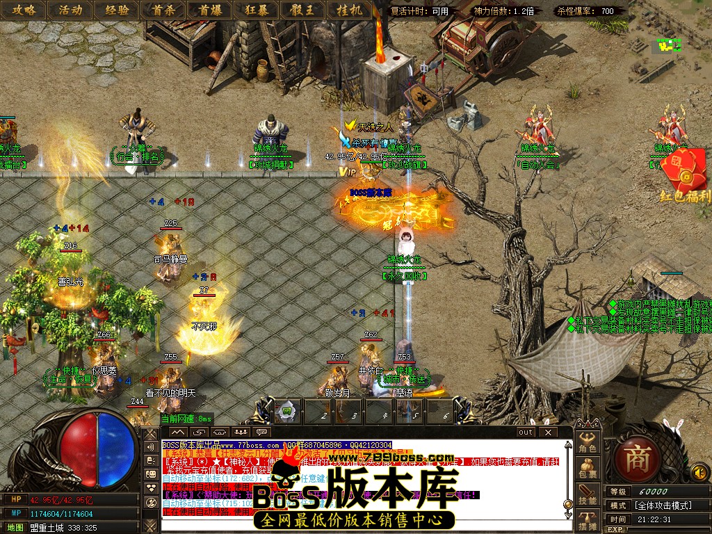 6.jpg