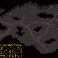 真彩地砖242SS-200524-83