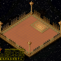 真彩地砖105SS-200523-9