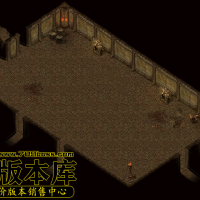 真彩地砖248SS-200524-95