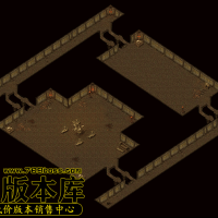 真彩地砖250SS-200524-99