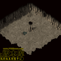 真彩地砖213SS-200524-25