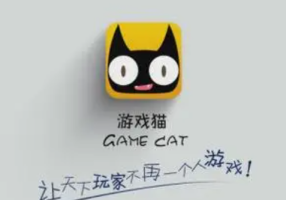 《游戏猫》介绍