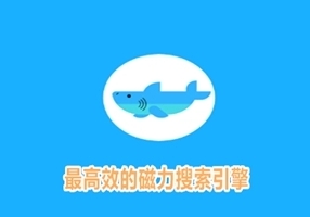 《更佳高效蜘蛛搜索引擎磁力》介绍