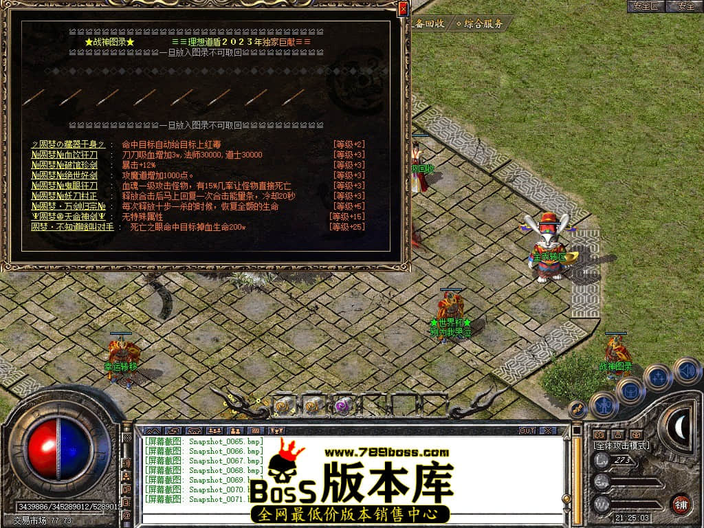 Snapshot_0072.JPG