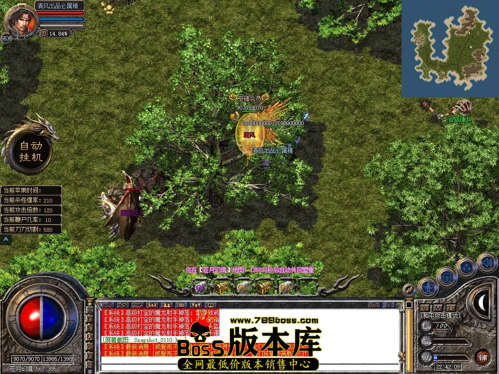 Snapshot_0111.JPG