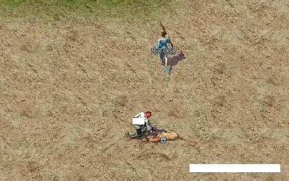 8.jpg