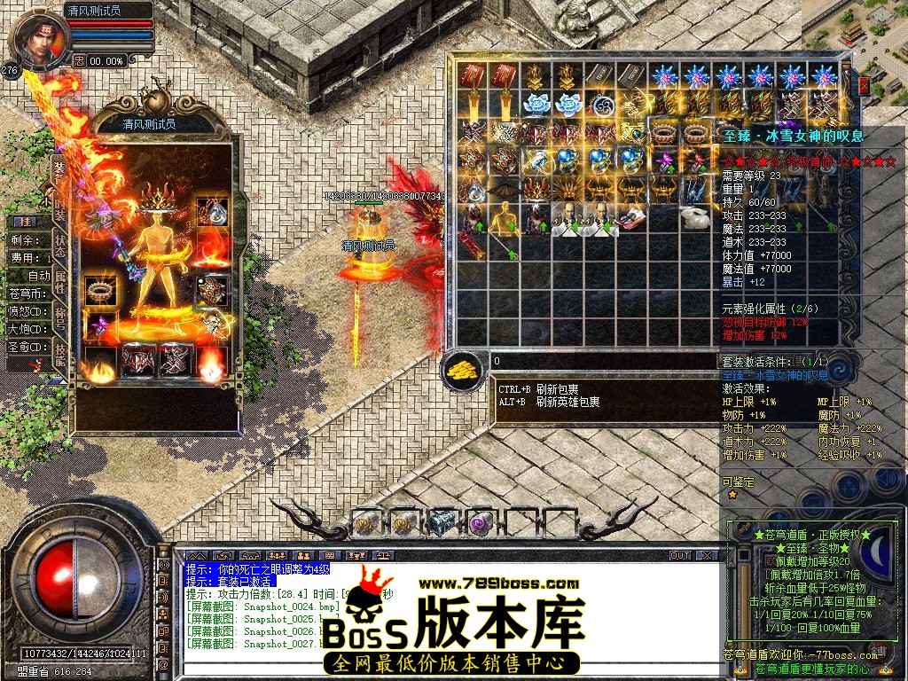 Snapshot_0028.JPG