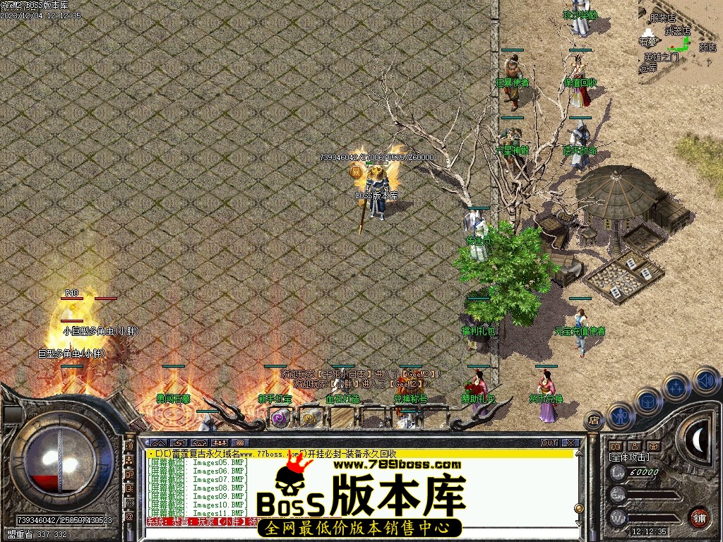 Images13压缩后.JPG