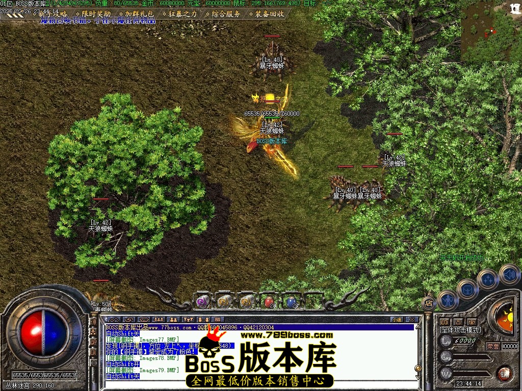 Images80压缩后.JPG