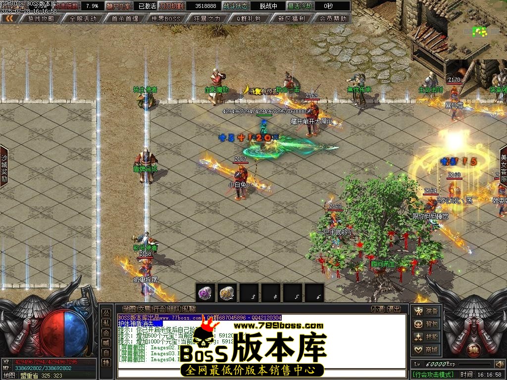 Images05压缩后.JPG