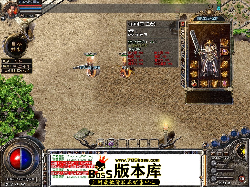 Snapshot_0009.jpg