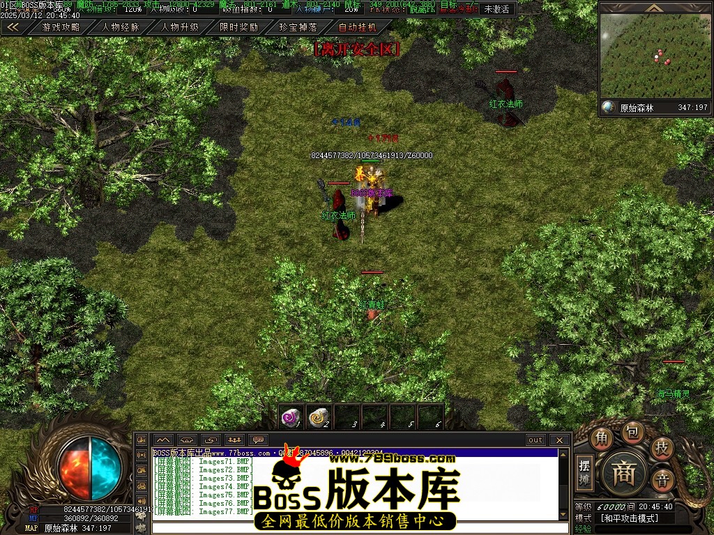Images78压缩后.JPG