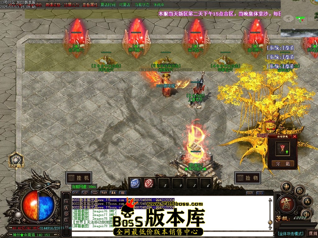 Images80压缩后.JPG