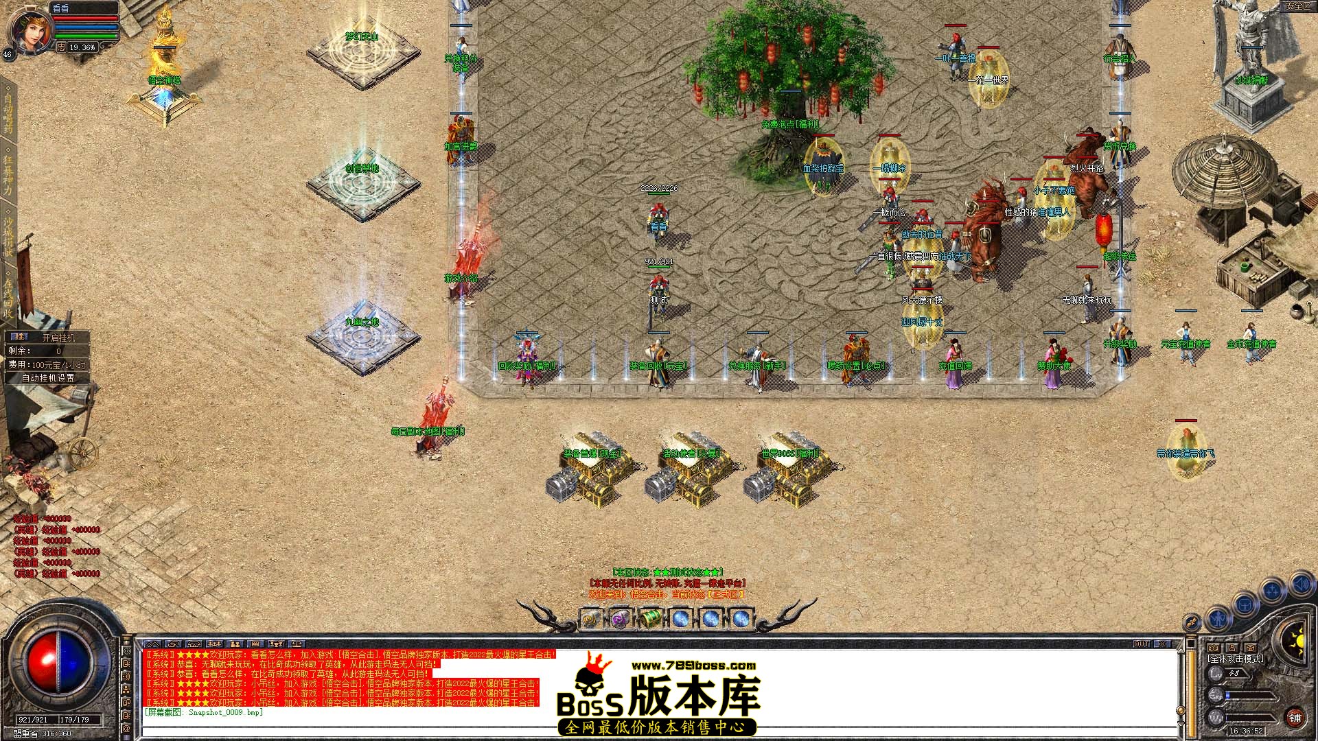 Snapshot_0010.jpg