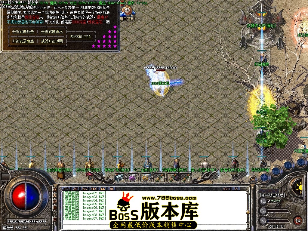 Images10压缩后.JPG