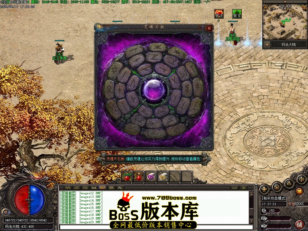 Images21压缩后.JPG