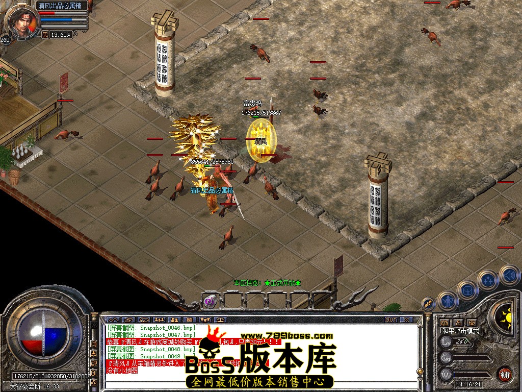 Snapshot_0050.jpg