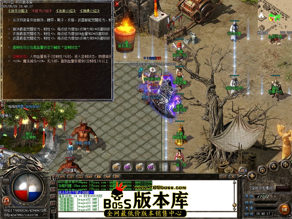 Images06压缩后.JPG
