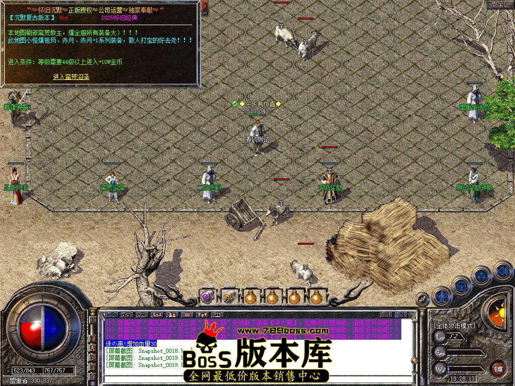 Snapshot_0020.jpg