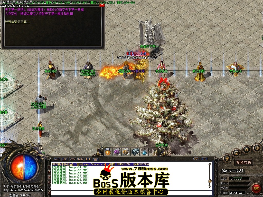 Images10压缩后.JPG