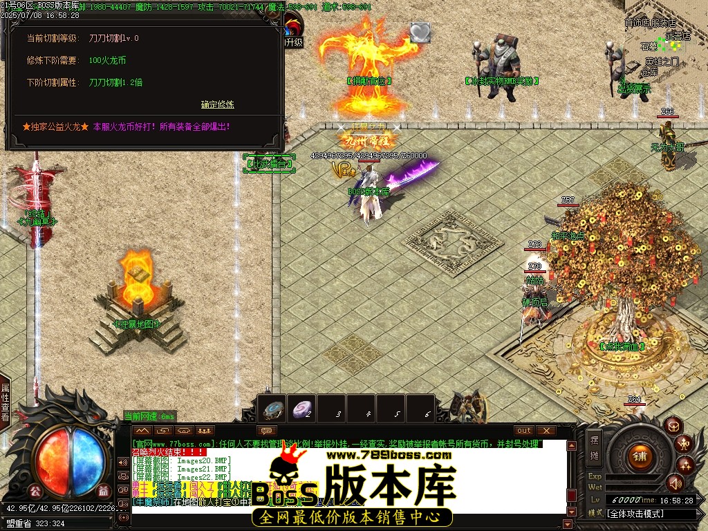Images23压缩后.JPG