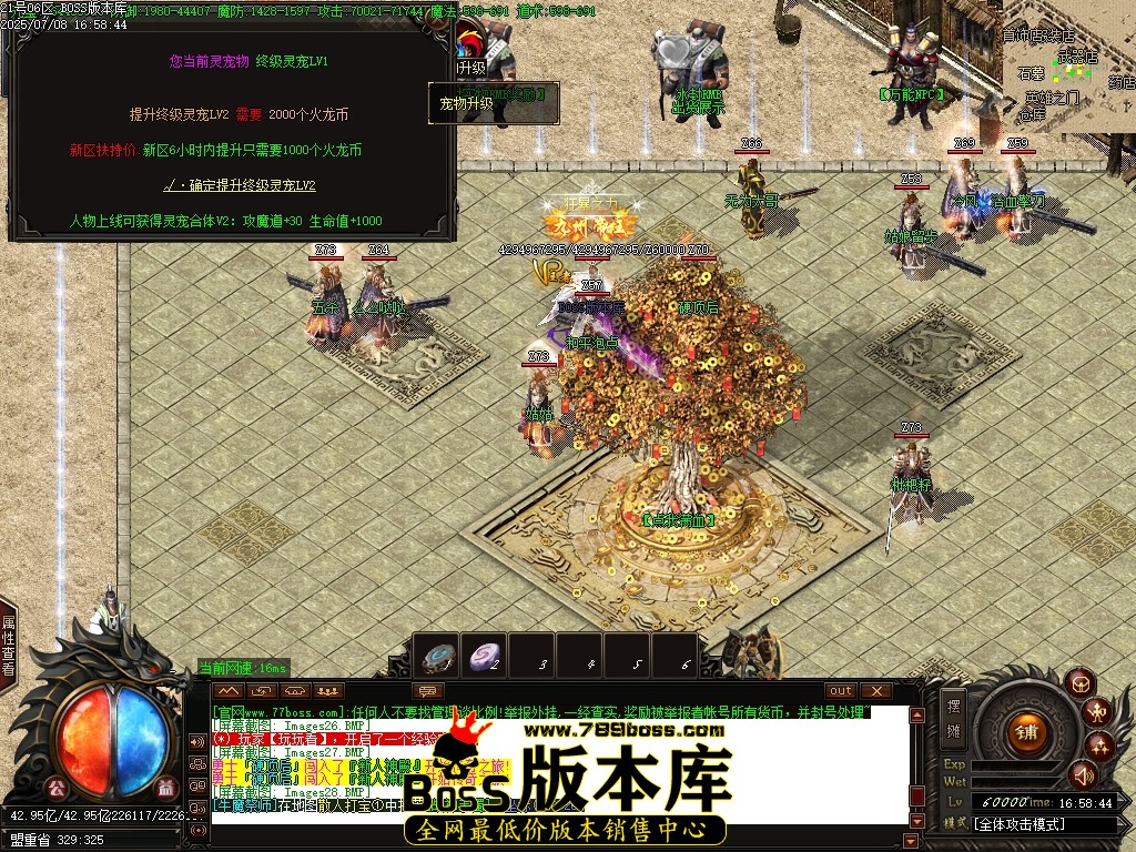 Images29压缩后.JPG