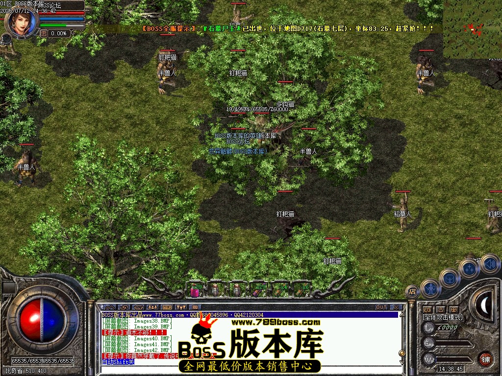 Images43压缩后.JPG